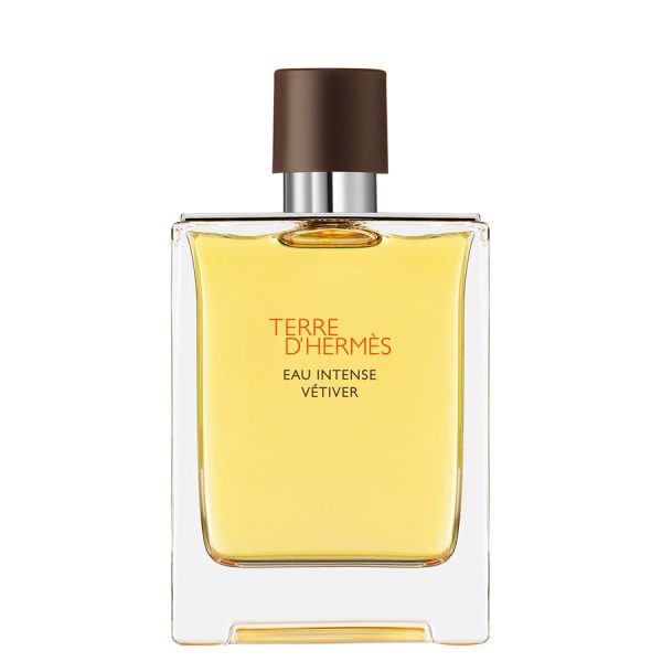 Hermes Terre D'Hermès Eau Intense Vétiver, Eau De Parfum 100ML